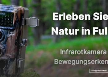 Blazevideos.de: Dein Zugang zu hochwertigem Video-Content und exklusiven Erlebnissen