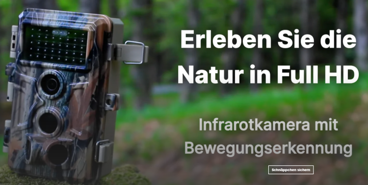 Blazevideos.de: Dein Zugang zu hochwertigem Video-Content und exklusiven Erlebnissen