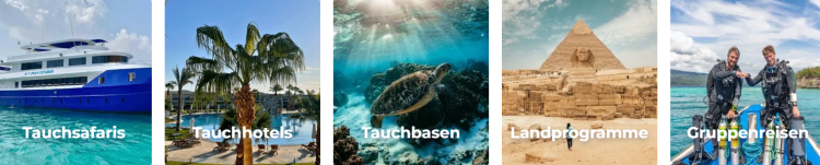 Orca: Exzellente Produkte für Outdoor-Enthusiasten