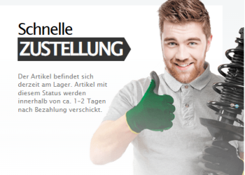 Warum Österreicher gerne bei pkwteile.at Autoteile kaufen