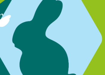 Warum Österreicher gerne bei afbshop.at einkaufen – und warum dieser Shop besser ist als viele Mitbewerber