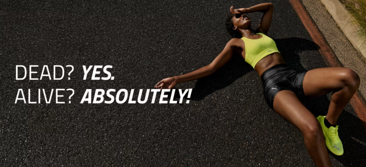 Warum Österreicher gerne bei 365rider.com einkaufen – und was diese Plattform so besonders macht