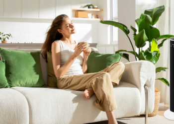 Gesunde Luft für jedes Zuhause – Warum Levoit.de die erste Wahl ist