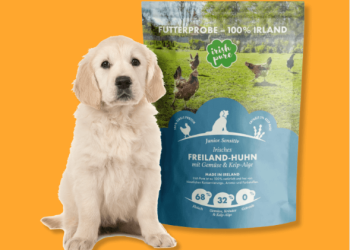 Hochwertige Ernährung für Ihren Hund