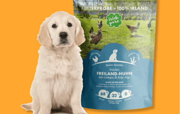 Hochwertige Ernährung für Ihren Hund