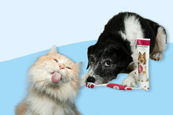 Fressnapf – Alles für das Wohl von Haustieren