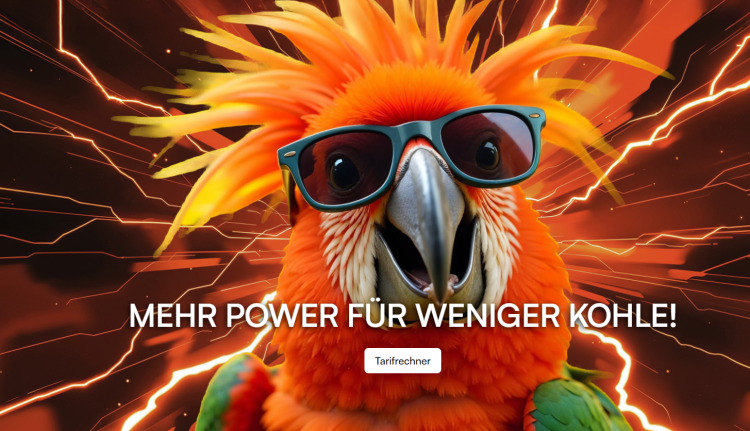 Aras Energy: Ein frischer Ansatz in der Energieversorgung