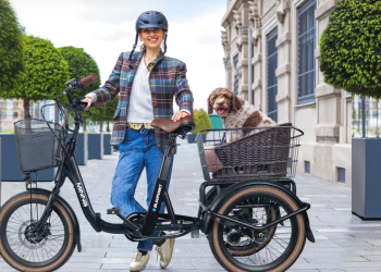 Ein Blick auf das Angebot von dotblue‑ebike.de