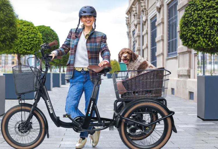 Ein Blick auf das Angebot von dotblue‑ebike.de