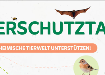 Vögel im Garten: Das Angebot von Vivara für Naturfreunde
