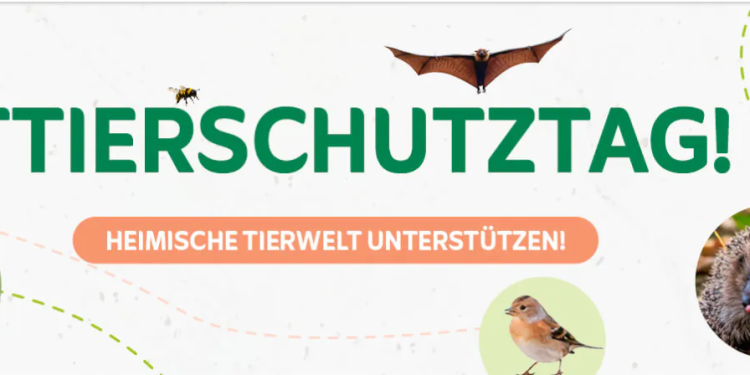 Vögel im Garten: Das Angebot von Vivara für Naturfreunde
