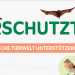 Vögel im Garten: Das Angebot von Vivara für Naturfreunde