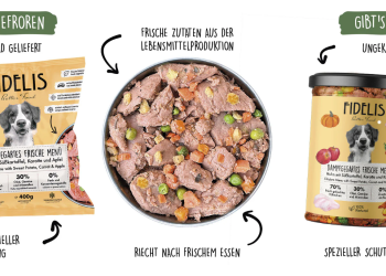 Fidelis.dog: Hochwertige Produkte für den Hund mit Charakter