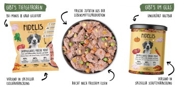 Fidelis.dog: Hochwertige Produkte für den Hund mit Charakter