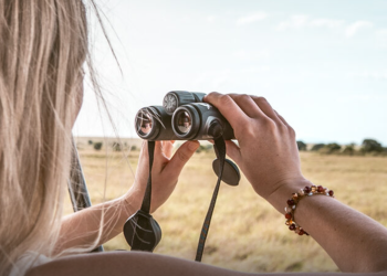 Afrikasafariurlaub.de – Ihr Partner für unvergessliche Safarierlebnisse in Afrika