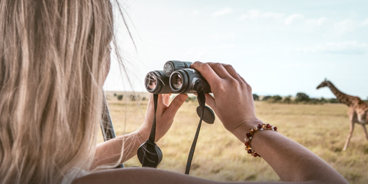 Afrikasafariurlaub.de – Ihr Partner für unvergessliche Safarierlebnisse in Afrika