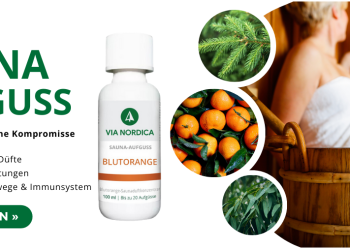 Ein Blick auf via-nordica.de