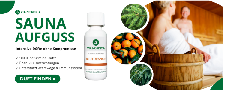 Ein Blick auf via-nordica.de