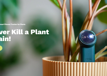 Warum fyta.de für Pflanzenfans spannend ist