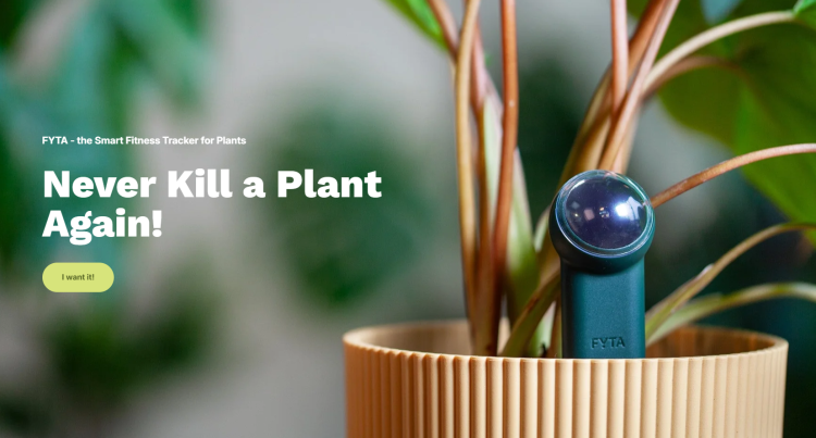 Warum fyta.de für Pflanzenfans spannend ist