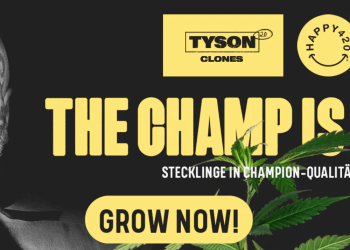 Happy-420.de: Qualität, Vielfalt und Vertrauen in jedem Produkt