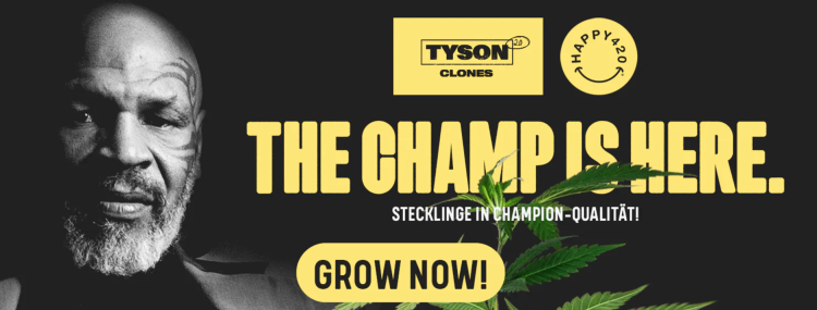 Happy-420.de: Qualität, Vielfalt und Vertrauen in jedem Produkt