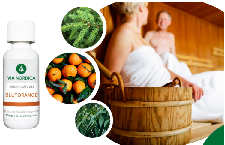 Warum via-nordica.de überzeugt