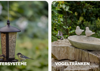 Was Vivara besonders macht