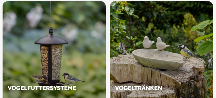 Was Vivara besonders macht