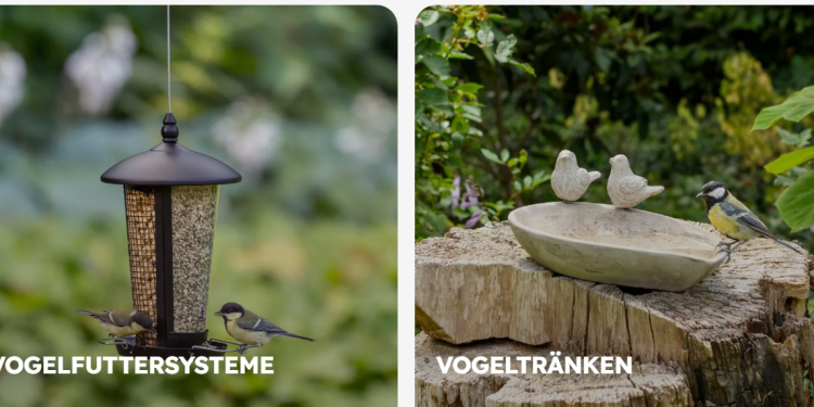 Was Vivara besonders macht