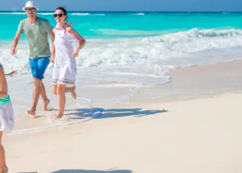 Was macht LTUR aus und wie funktioniert der Service?