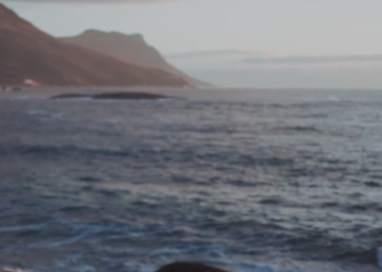 Was zeichnet Youngle als Marke aus?