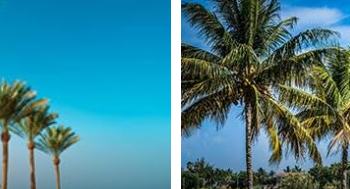 Ein umfassender Blick auf 12-Travel und flexible Reiseangebote
