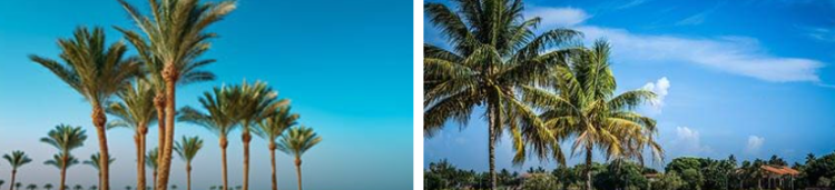 Ein umfassender Blick auf 12-Travel und flexible Reiseangebote