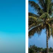 Ein umfassender Blick auf 12-Travel und flexible Reiseangebote
