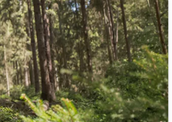 Grube: Fachausrüstung und Produkte für Natur, Forst und Outdoor