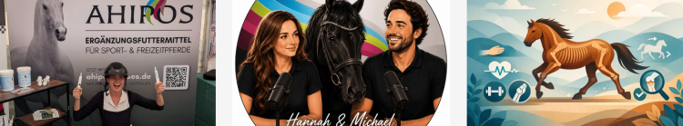 Reitsport und Stil mit Ahipos Horses