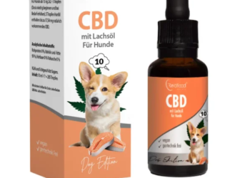 CBD-Öl für Hunde von Redfood24: Eine besondere Kombination für den Alltag