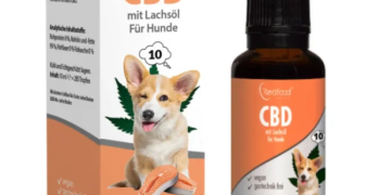CBD-Öl für Hunde von Redfood24: Eine besondere Kombination für den Alltag